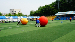 183e08a8855b80990cec661afe134c52_1684299943_8562.JPG